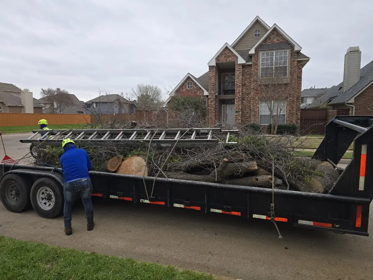 Expert Tree Removal with proper safety equipment in Clearfield